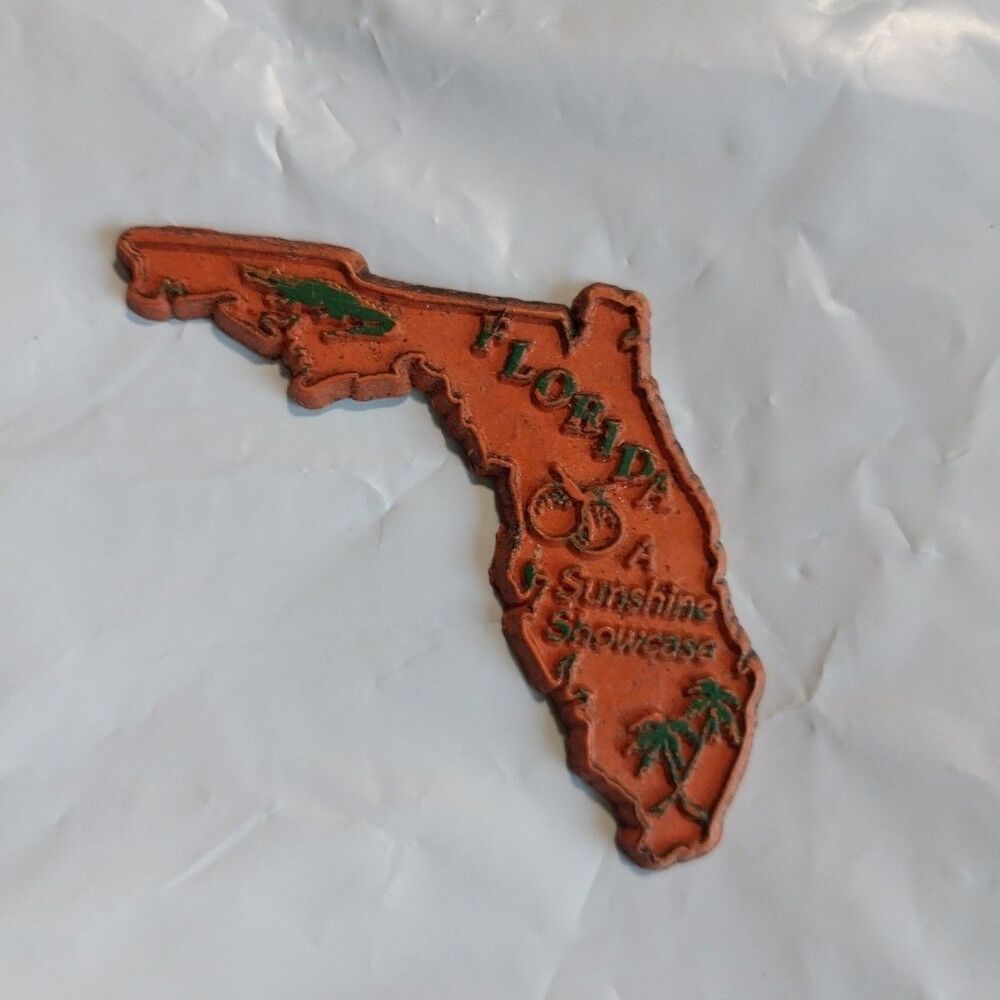 FLorida Sunshime  Showcase  Fridge Magnet Souvenir